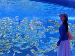 -海合安成都极地海洋公园