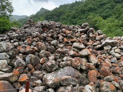 -陕西省红河谷森林公园