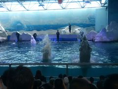 -秦皇岛乐岛海洋王国