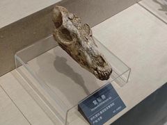 -安徽省地质博物馆