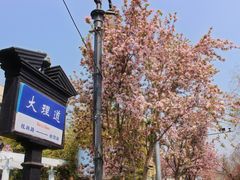 -天津五大道文化旅游区