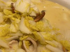 -陶然饺子城(奥体中路店)