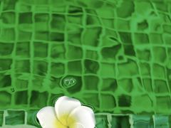 -广州都喜泰丽温泉度假酒店