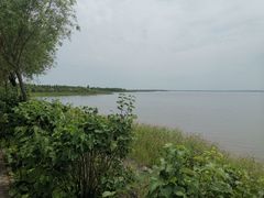 -呼兰河口湿地公园