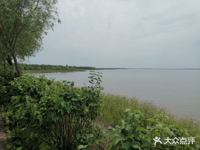 呼兰河口湿地公园图片