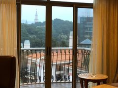 -圣爵菲斯大酒店(长沙世界之窗店)