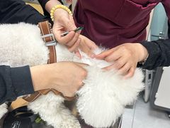 -中农大我爱我爱动物医院·核磁CT·猫病·24小时夜诊中心(石佛营店)
