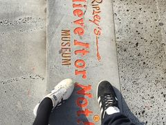 -信不信由你博物馆