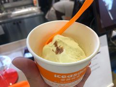 -iceason爱茜茜里·意大利健康冰淇淋(骑龙巷店)