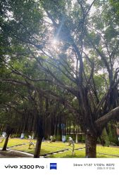 -深圳市儿童乐园