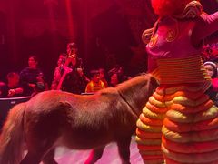 -珠海横琴长隆《卡卡虎奇遇记》