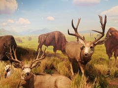 -陕西自然博物馆