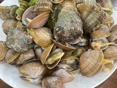 -东戴河风景区-止锚湾