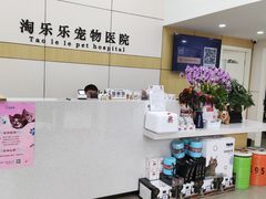 -凯瑞希宠物医院·狂犬免疫·微创·皮肤科