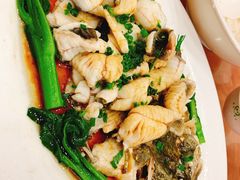姜葱鱼片-胜记烧鹅美食