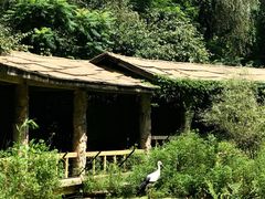 -沈阳鸟岛
