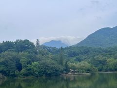-深圳仙湖植物园