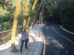 -深圳仙湖植物园-停车场