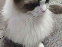 -零纪元VR体验馆·桌游(黄浦店)