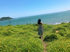 -漳州滨海火山岛自然生态风景区