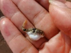 -东戴河风景区-止锚湾