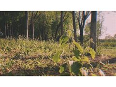 -天津武清北运河郊野公园房车露营地