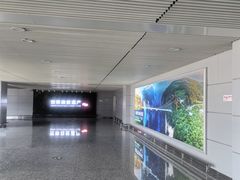 -张家界荷花国际机场