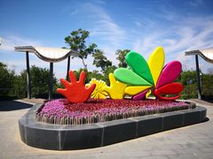 -金鸡山公园