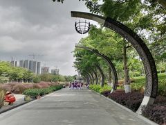 -映月湖公园