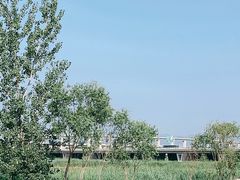 -绿堤公园