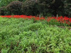 景点-沈阳中山公园