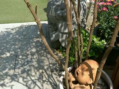 -旅马餐厅(茅家埠店)