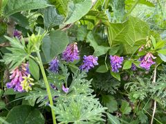 -白草畔自然风景区