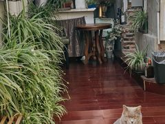 -OX BAR 拉培耶小镇(大连老街店)