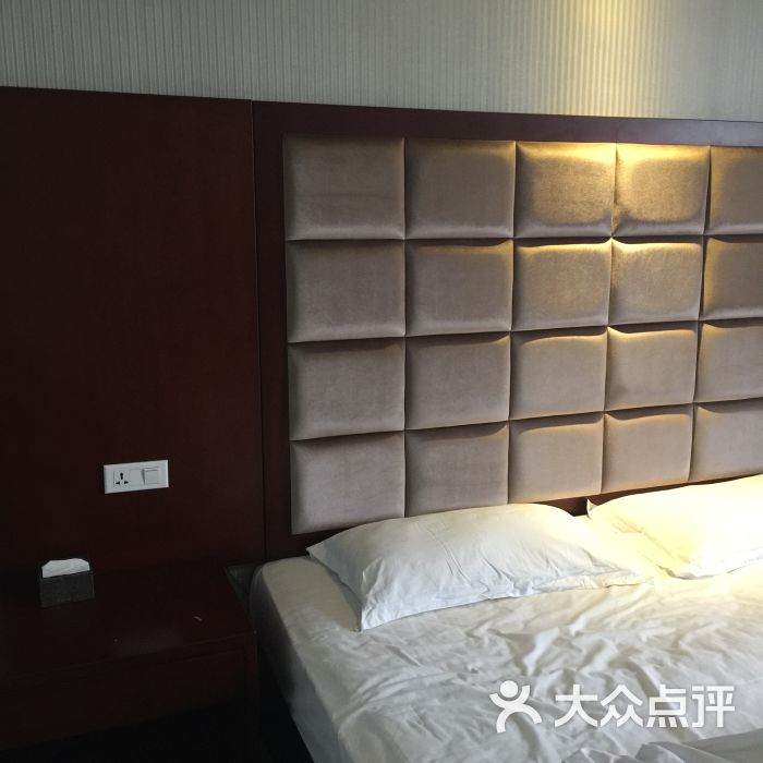 海悦精品酒店-图片-郸城县酒店-大众点评网
