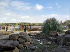 -昆山城市生态森林公园