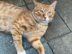 -上楼私房菜(院士路店)