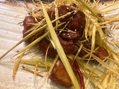 香茅生炸排骨-浩海火烧云傣家菜(京广店)