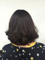 -YESIDO椰岛造型
