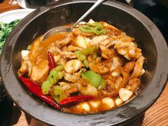 黑松露牛肝菌焖牛蛙-云海肴·汽锅鸡·云南菜(美罗城店)