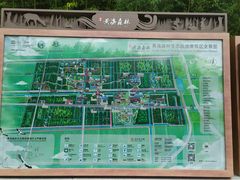 -黄海国家森林公园