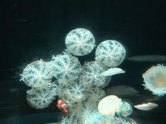 -欢乐海岸海洋奇梦馆