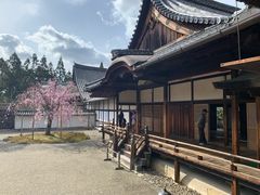 -醍醐寺