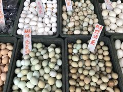 -溱湖国家湿地公园