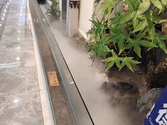 -大榕树下顺德菜(融创茂店)