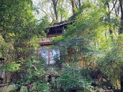 -南山植物园