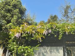 -成都市文化公园