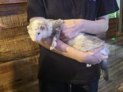 -Zoolung Zoolung动物主题公园(海信广场店)