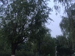 -五环公园