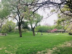 -清华大学-清芬园